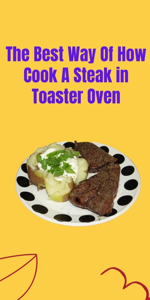 Way Of How Cook A Steak in Toaster Oven