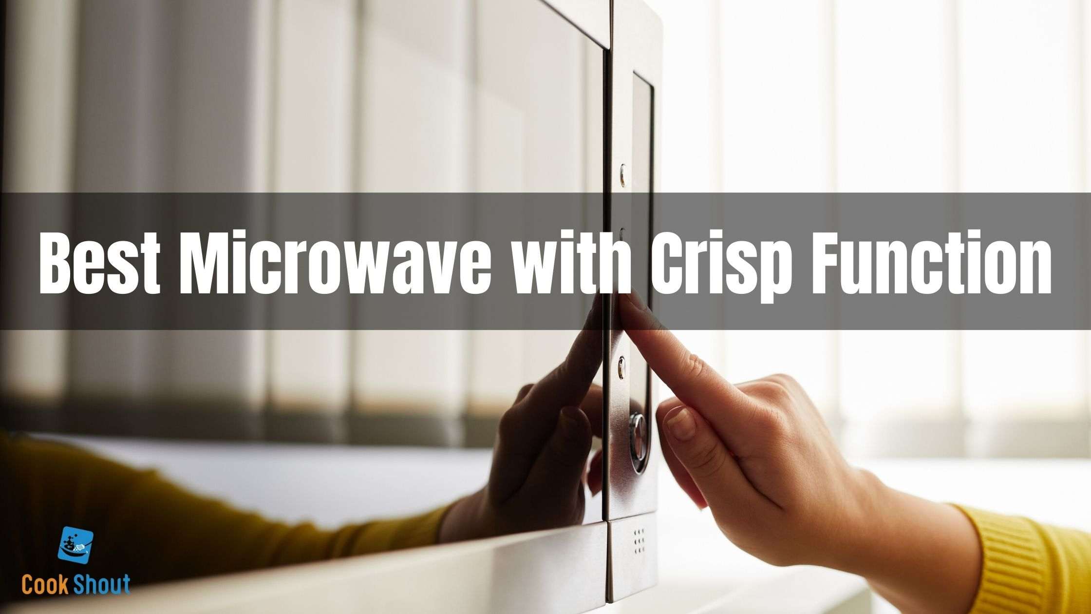 Best Microwave with Crisp Function In 2021
