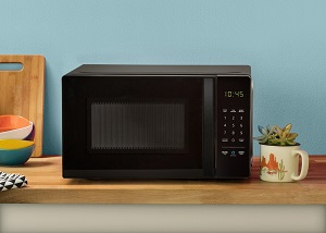 Alexa Microwave 2022